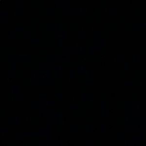 Meet your Posher, Daisy